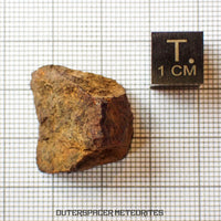 Forestburg (A) - L4 Chondrite - End Cut - 9.26 g - USA (Texas)