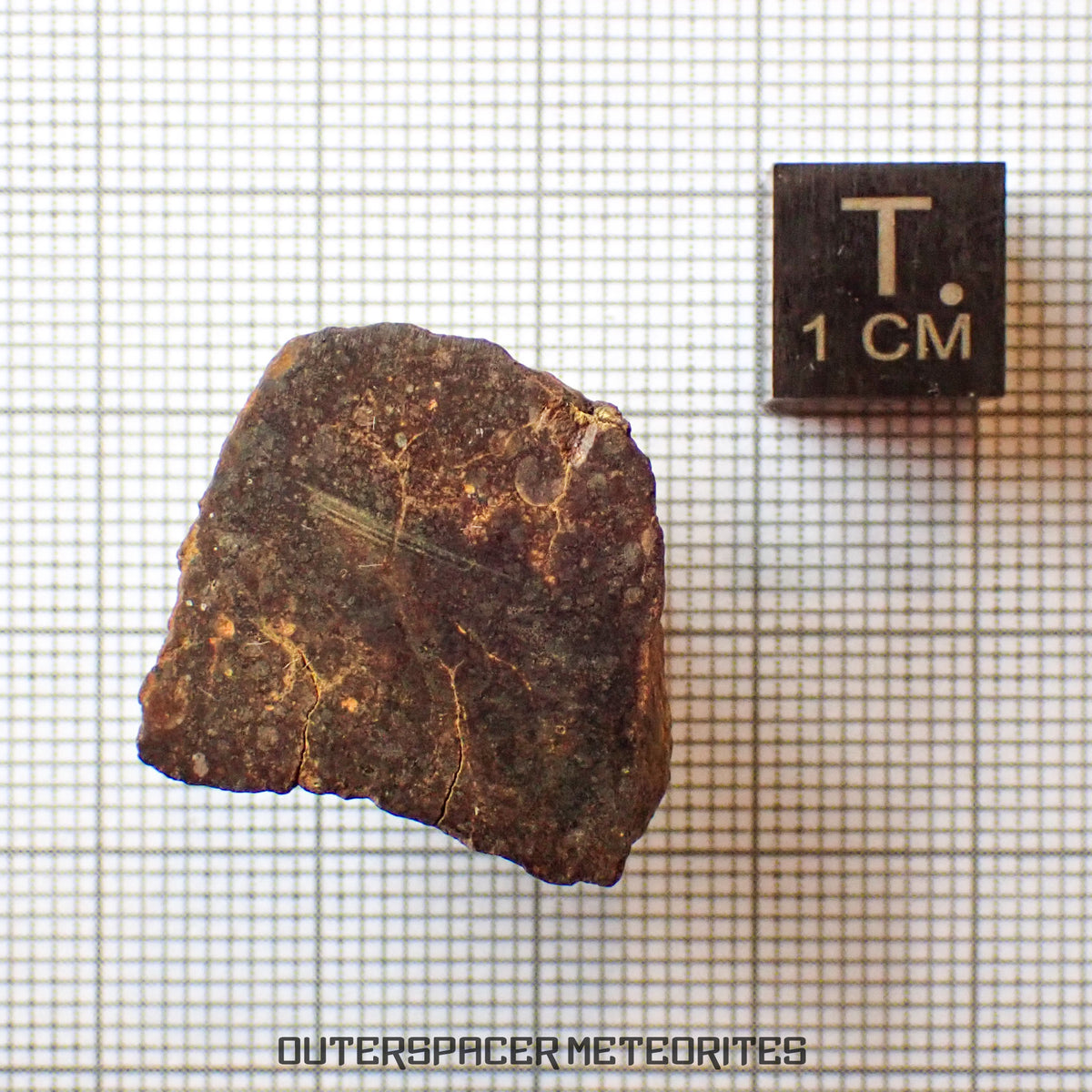 Forestburg (A) - L4 Chondrite - End Cut - 9.26 g - USA (Texas)