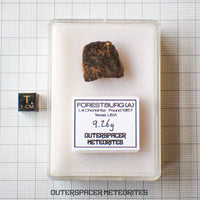 Forestburg (A) - L4 Chondrite - End Cut - 9.26 g - USA (Texas)