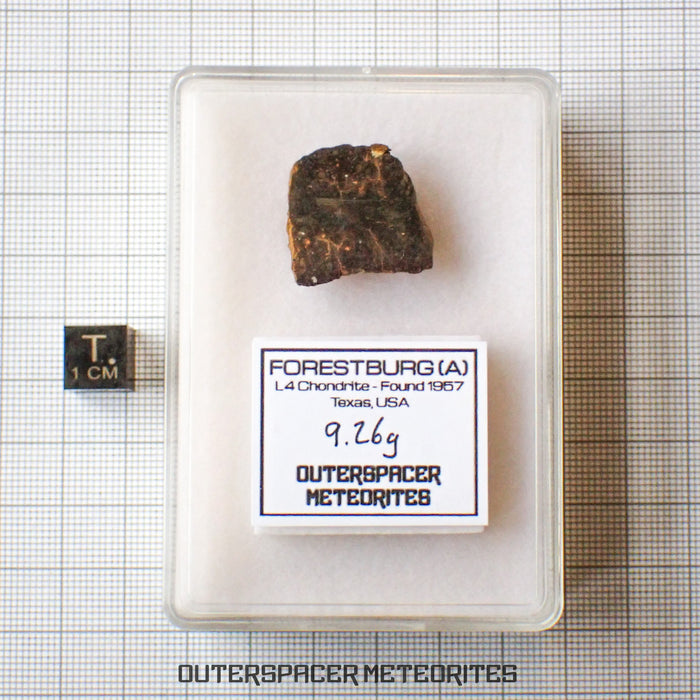 Forestburg (A) - L4 Chondrite - End Cut - 9.26 g - USA (Texas)