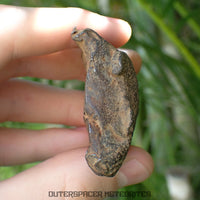 Gebel Kamil - Iron, Ungrouped (Ataxite) - Complete Individual - 196.86g - Egypt