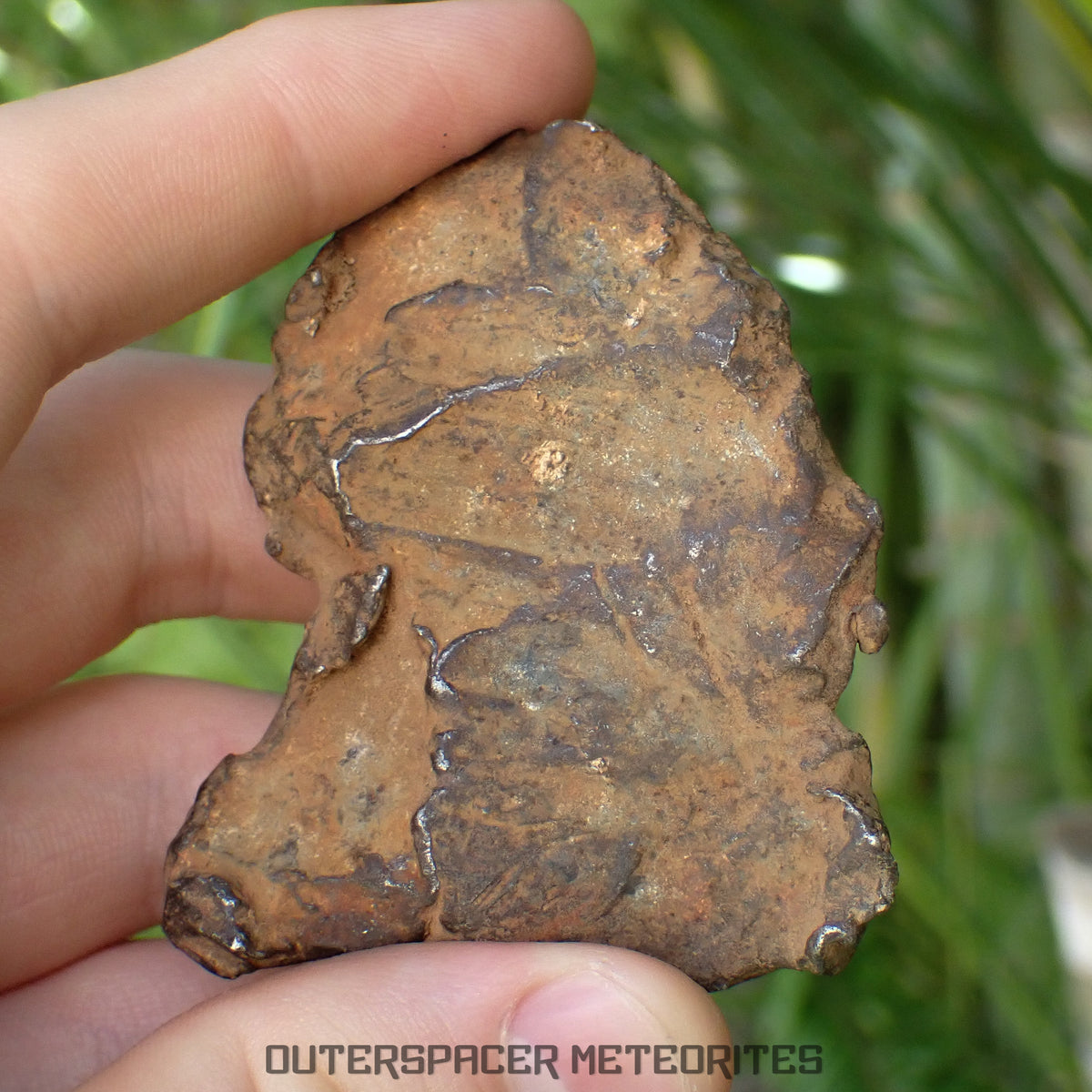 Gebel Kamil - Iron, Ungrouped (Ataxite) - Complete Individual - 196.86g - Egypt