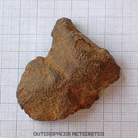 Gebel Kamil - Iron, Ungrouped (Ataxite) - Complete Individual - 196.86g - Egypt