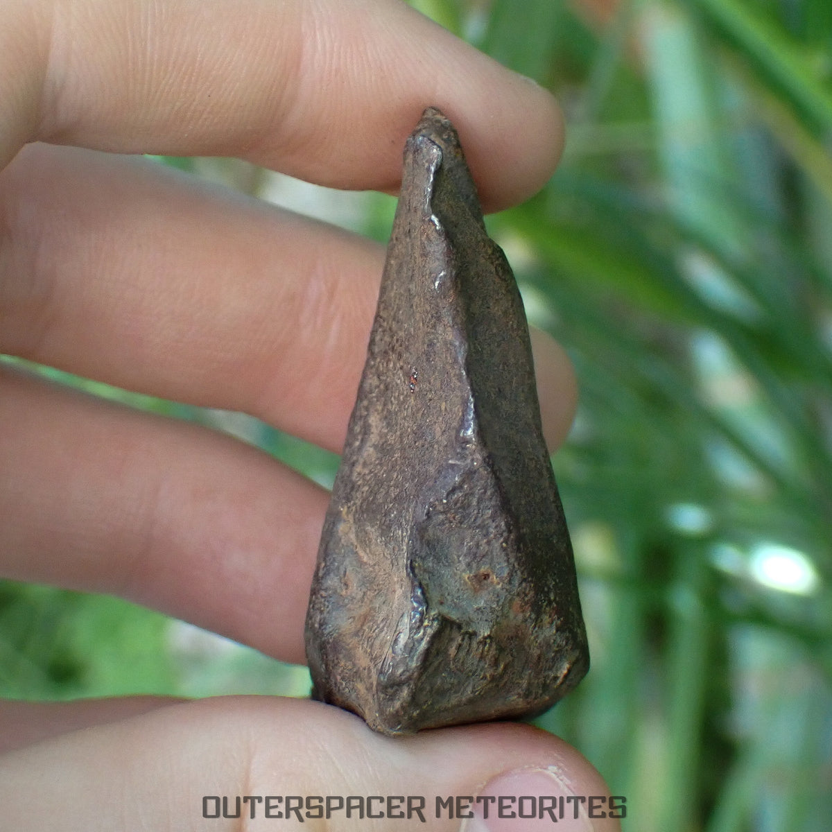 Gebel Kamil - Iron, Ungrouped (Ataxite) - Complete Individual - 127.27g - Egypt