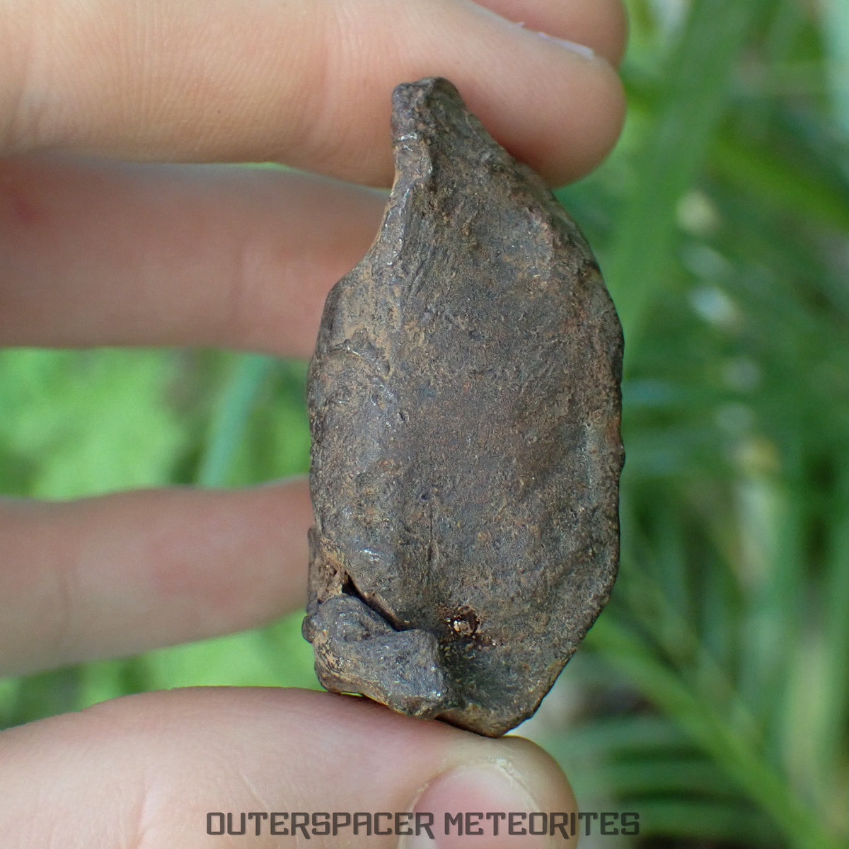Gebel Kamil - Iron, Ungrouped (Ataxite) - Complete Individual - 127.27g - Egypt