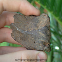 Gebel Kamil - Iron, Ungrouped (Ataxite) - Complete Individual - 127.27g - Egypt