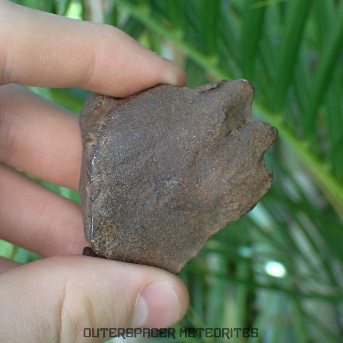 Gebel Kamil - Iron, Ungrouped (Ataxite) - Complete Individual - 127.27g - Egypt