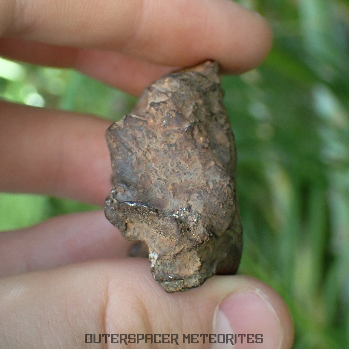 Gebel Kamil - Iron, Ungrouped (Ataxite) - Complete Individual - 88.22g - Egypt