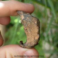 Gebel Kamil - Iron, Ungrouped (Ataxite) - Complete Individual - 88.22g - Egypt