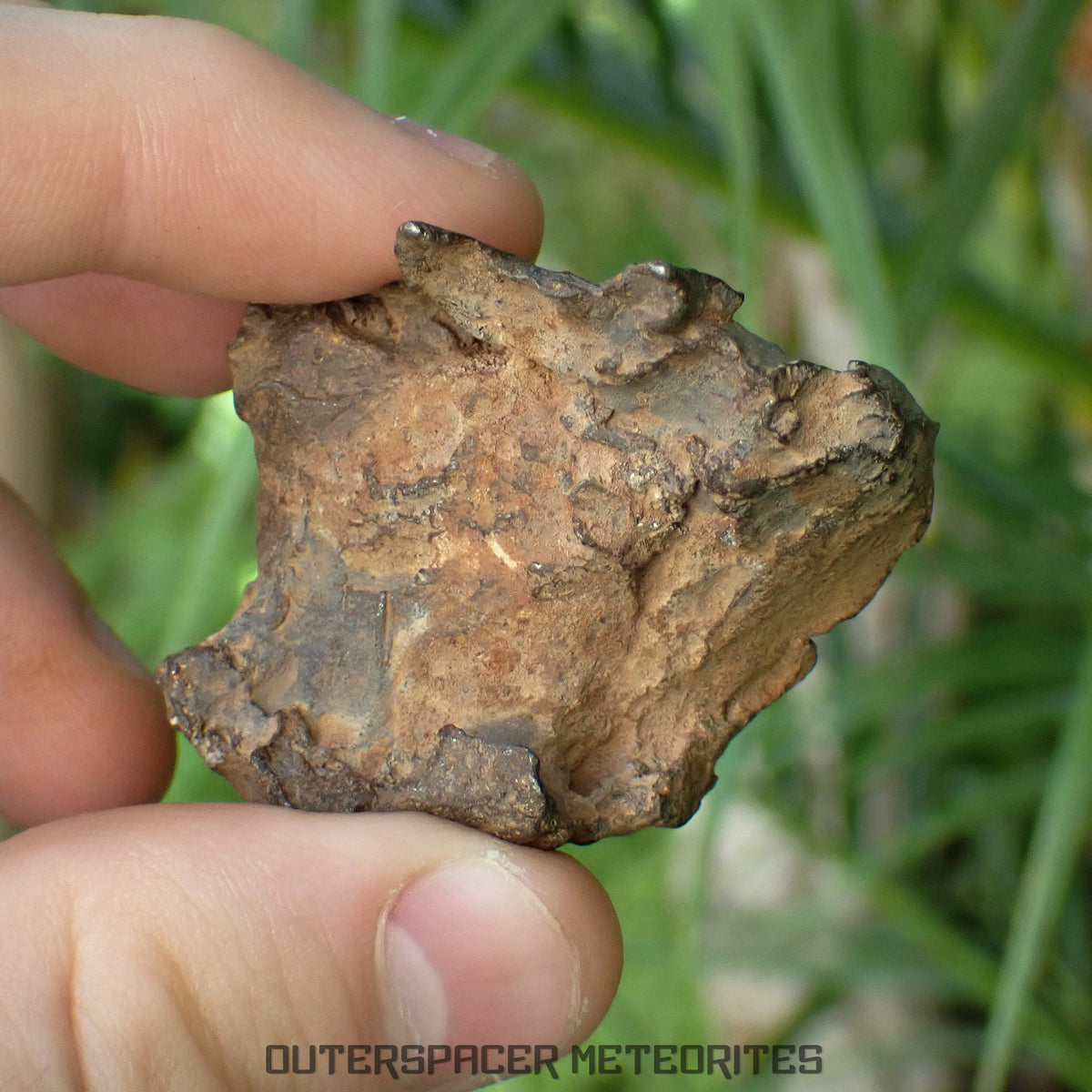 Gebel Kamil - Iron, Ungrouped (Ataxite) - Complete Individual - 88.22g - Egypt