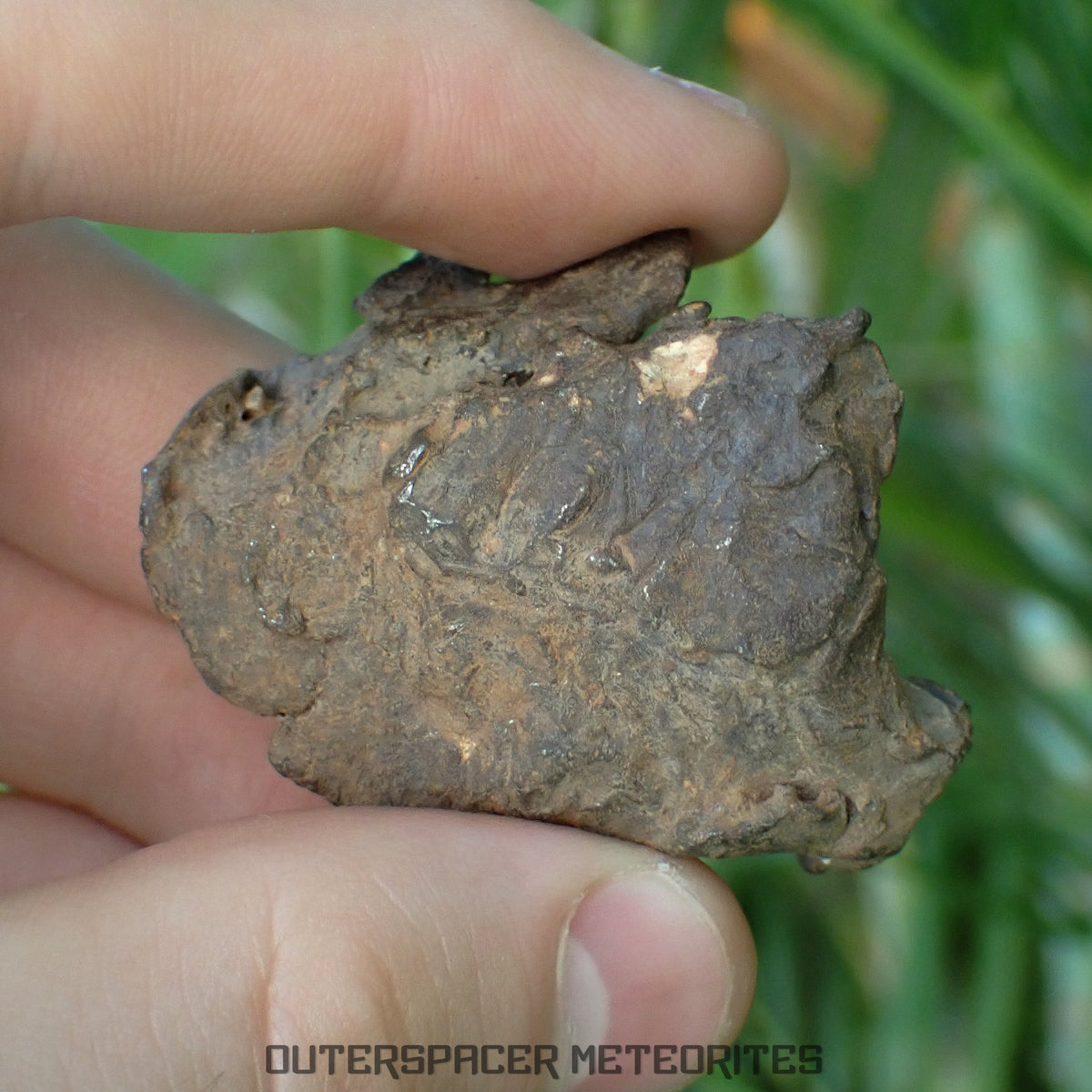 Gebel Kamil - Iron, Ungrouped (Ataxite) - Complete Individual - 88.22g - Egypt