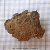 Gebel Kamil - Iron, Ungrouped (Ataxite) - Complete Individual - 88.22g - Egypt