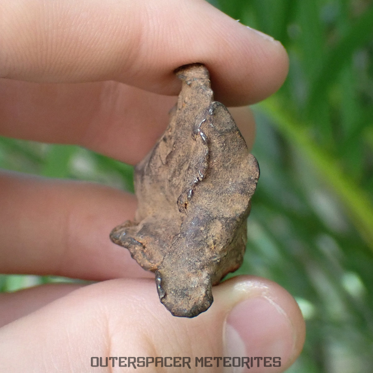 Gebel Kamil - Iron, Ungrouped (Ataxite) - Complete Individual - 66.22g - Egypt