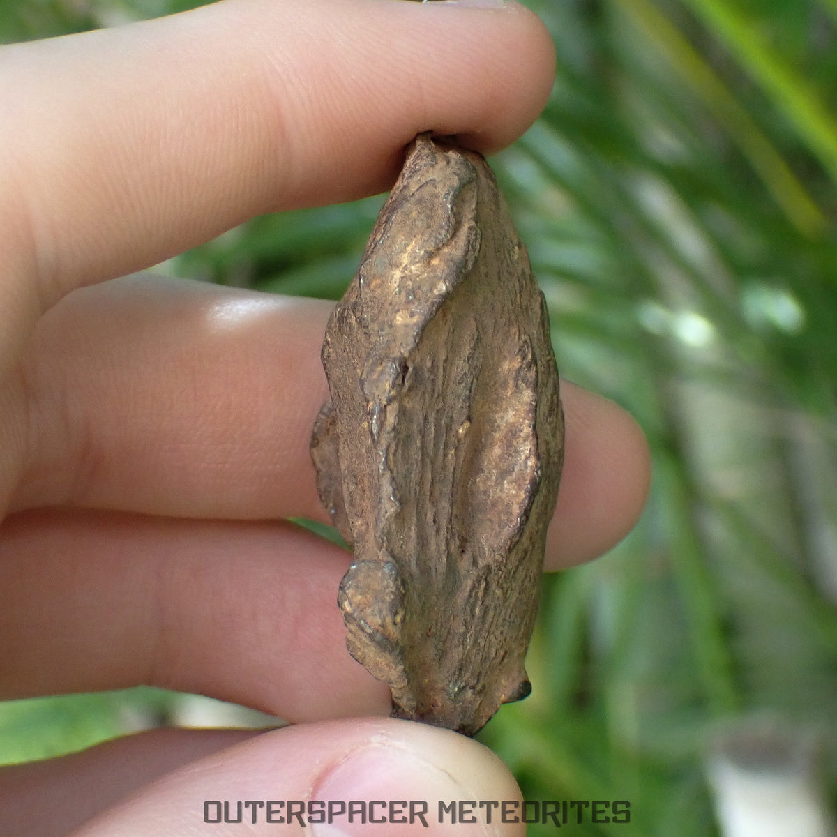 Gebel Kamil - Iron, Ungrouped (Ataxite) - Complete Individual - 66.22g - Egypt