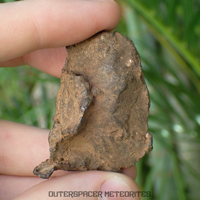 Gebel Kamil - Hierro, sin agrupar (Ataxita) - Ejemplar completo - 66.22g - Egipto
