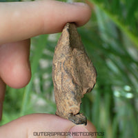 Gebel Kamil - Iron, Ungrouped (Ataxite) - Complete Individual - 66.22g - Egypt