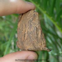 Gebel Kamil - Iron, Ungrouped (Ataxite) - Complete Individual - 66.22g - Egypt
