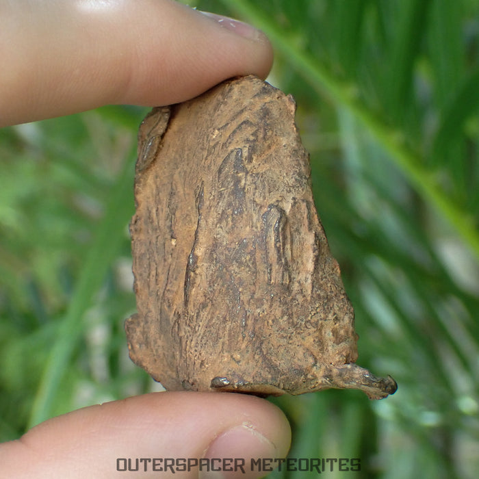 Gebel Kamil - Hierro, sin agrupar (Ataxita) - Ejemplar completo - 66.22g - Egipto