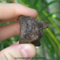 Gebel Kamil - Iron, Ungrouped (Ataxite) - Complete Individual - 170.92g - Egypt