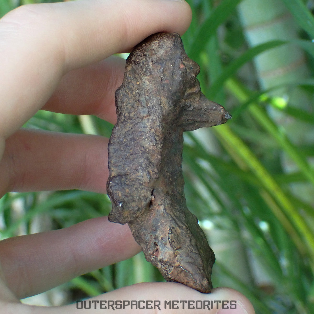 Gebel Kamil - Iron, Ungrouped (Ataxite) - Complete Individual - 170.92g - Egypt