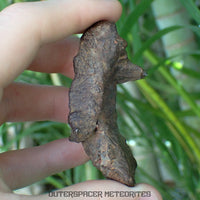 Gebel Kamil - Iron, Ungrouped (Ataxite) - Complete Individual - 170.92g - Egypt