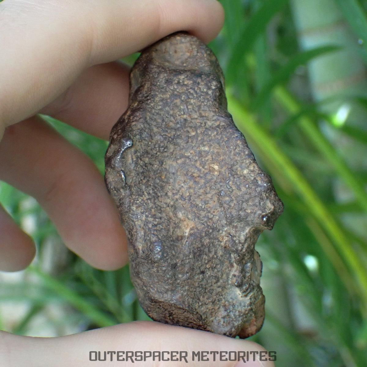 Gebel Kamil - Iron, Ungrouped (Ataxite) - Complete Individual - 170.92g - Egypt