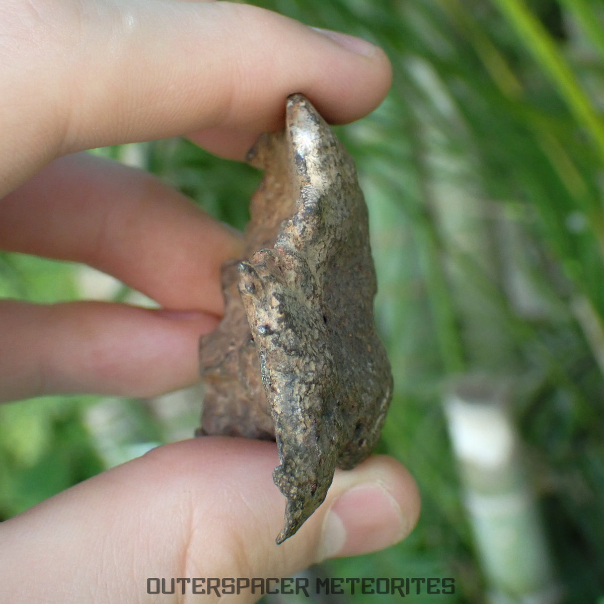 Gebel Kamil - Iron, Ungrouped (Ataxite) - Complete Individual - 143.25g - Egypt