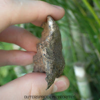 Gebel Kamil - Iron, Ungrouped (Ataxite) - Complete Individual - 143.25g - Egypt