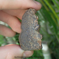 Gebel Kamil - Iron, Ungrouped (Ataxite) - Complete Individual - 143.25g - Egypt