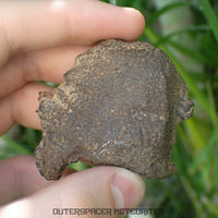 Gebel Kamil - Iron, Ungrouped (Ataxite) - Complete Individual - 143.25g - Egypt