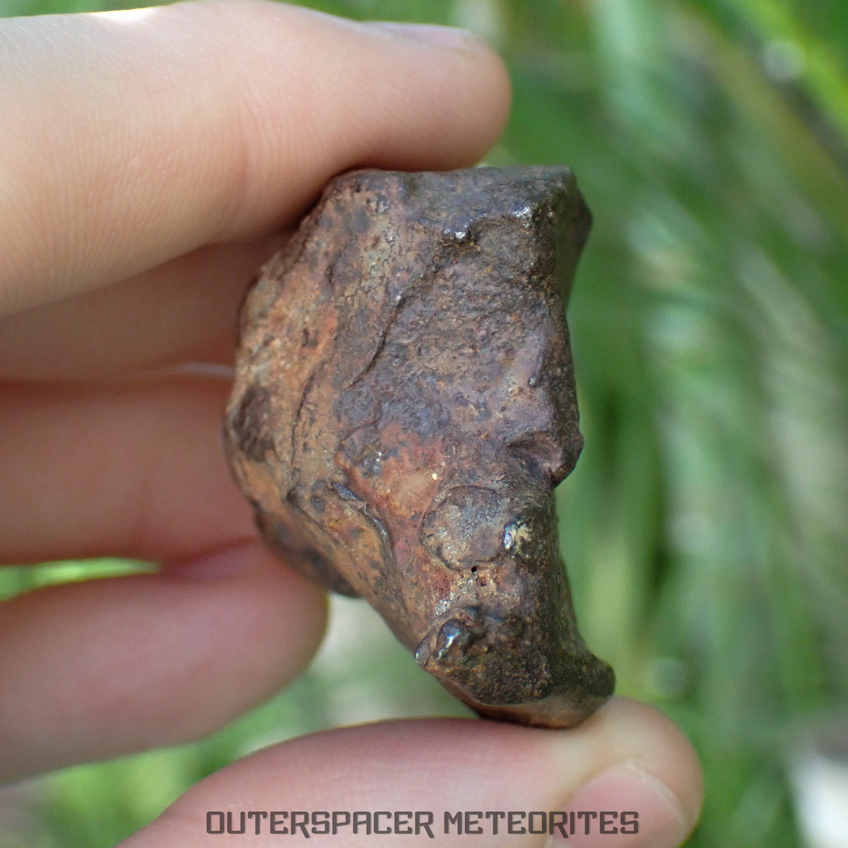 Gebel Kamil - Iron, Ungrouped (Ataxite) - Complete Individual - 125.47g - Egypt