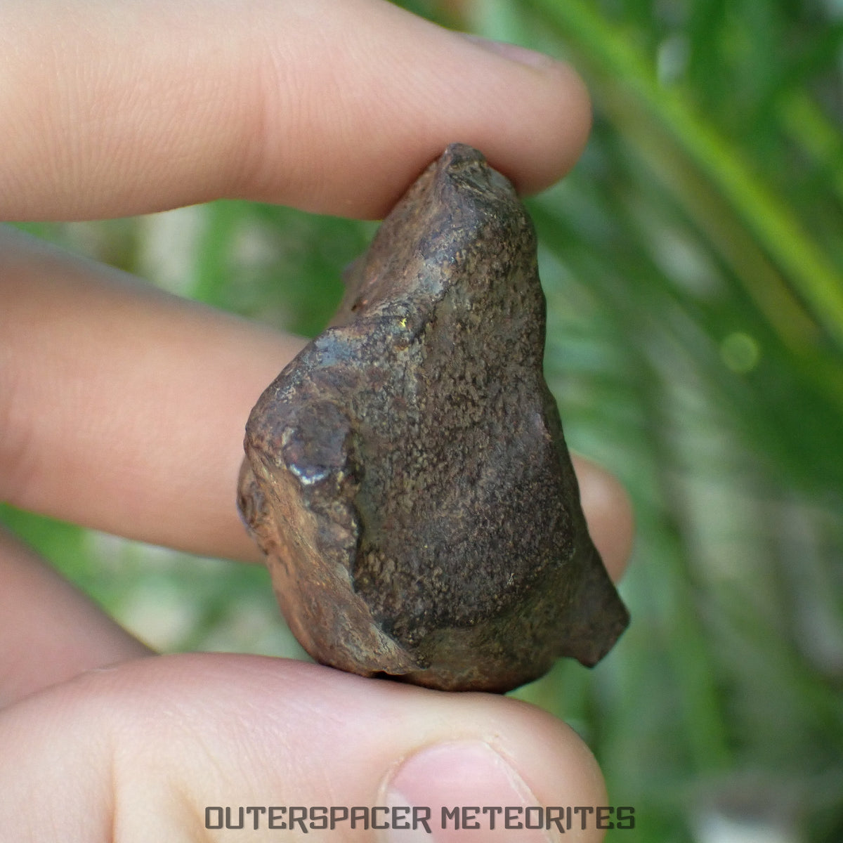 Gebel Kamil - Iron, Ungrouped (Ataxite) - Complete Individual - 125.47g - Egypt