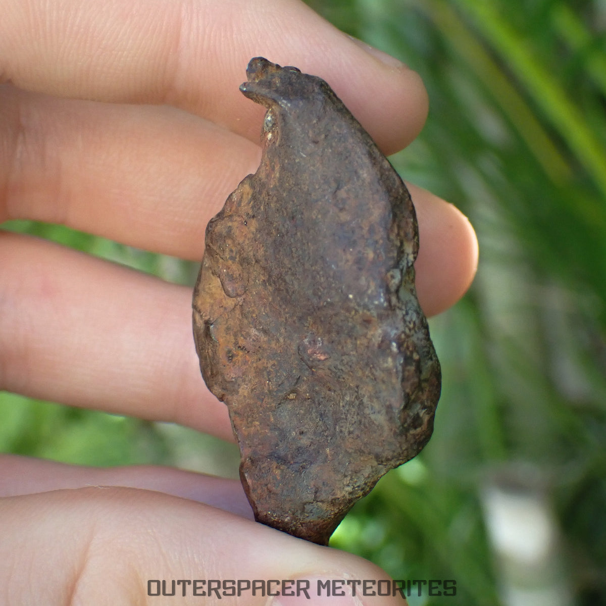 Gebel Kamil - Iron, Ungrouped (Ataxite) - Complete Individual - 125.47g - Egypt