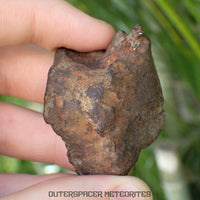 Gebel Kamil - Iron, Ungrouped (Ataxite) - Complete Individual - 125.47g - Egypt