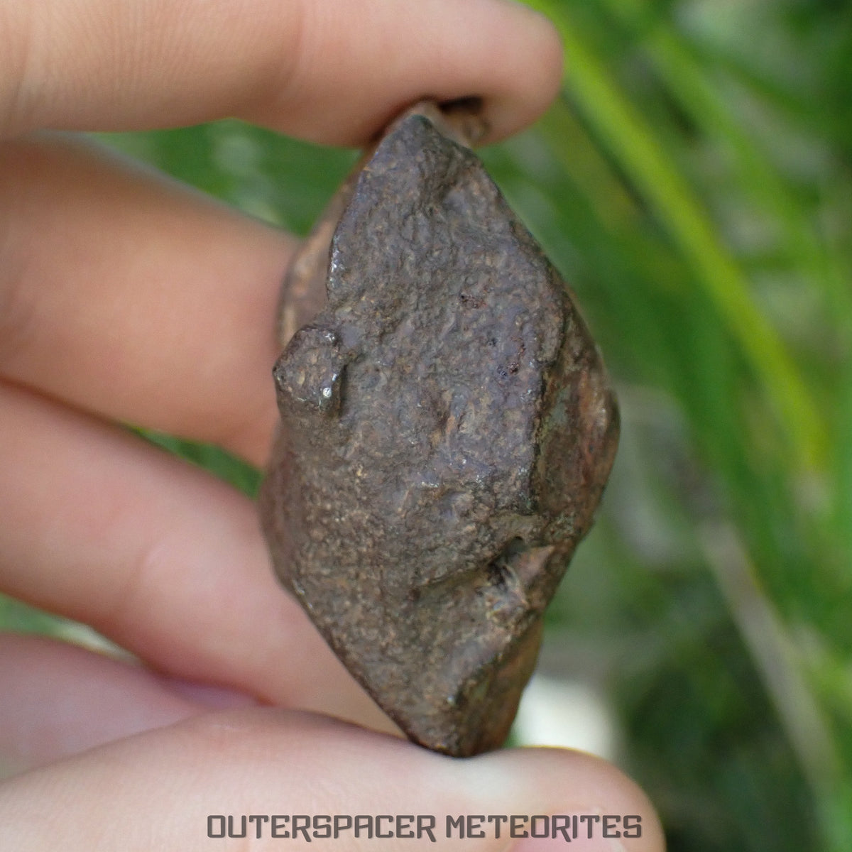 Gebel Kamil - Iron, Ungrouped (Ataxite) - Complete Individual - 125.47g - Egypt