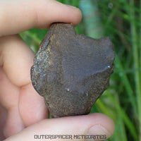 Gebel Kamil - Iron, Ungrouped (Ataxite) - Complete Individual - 125.47g - Egypt
