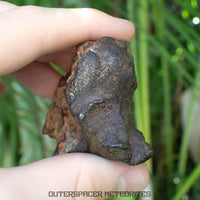 Gebel Kamil - Iron, Ungrouped (Ataxite) - Complete Individual - 346.98g - Egypt