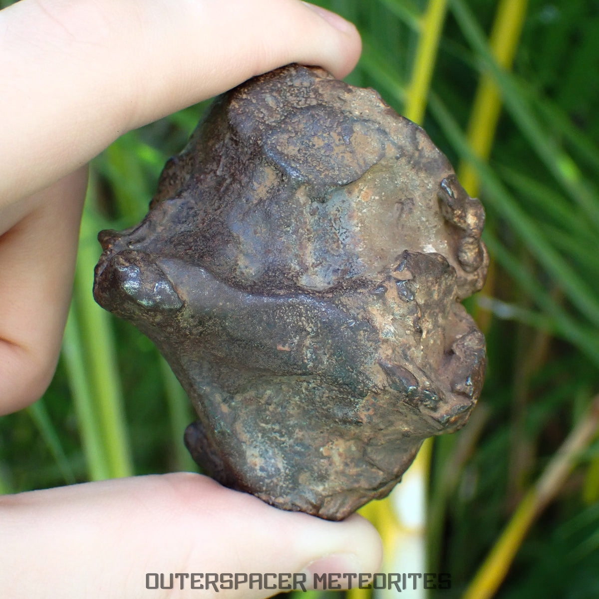 Gebel Kamil - Iron, Ungrouped (Ataxite) - Complete Individual - 346.98g - Egypt