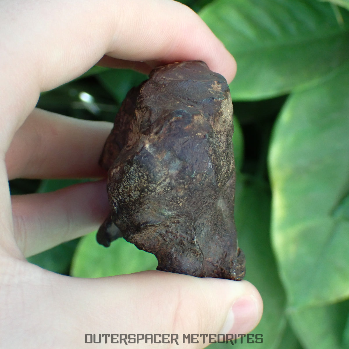 Gebel Kamil - Iron, Ungrouped (Ataxite) - Complete Individual - 346.98g - Egypt