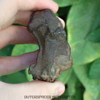 Gebel Kamil - Iron, Ungrouped (Ataxite) - Complete Individual - 346.98g - Egypt