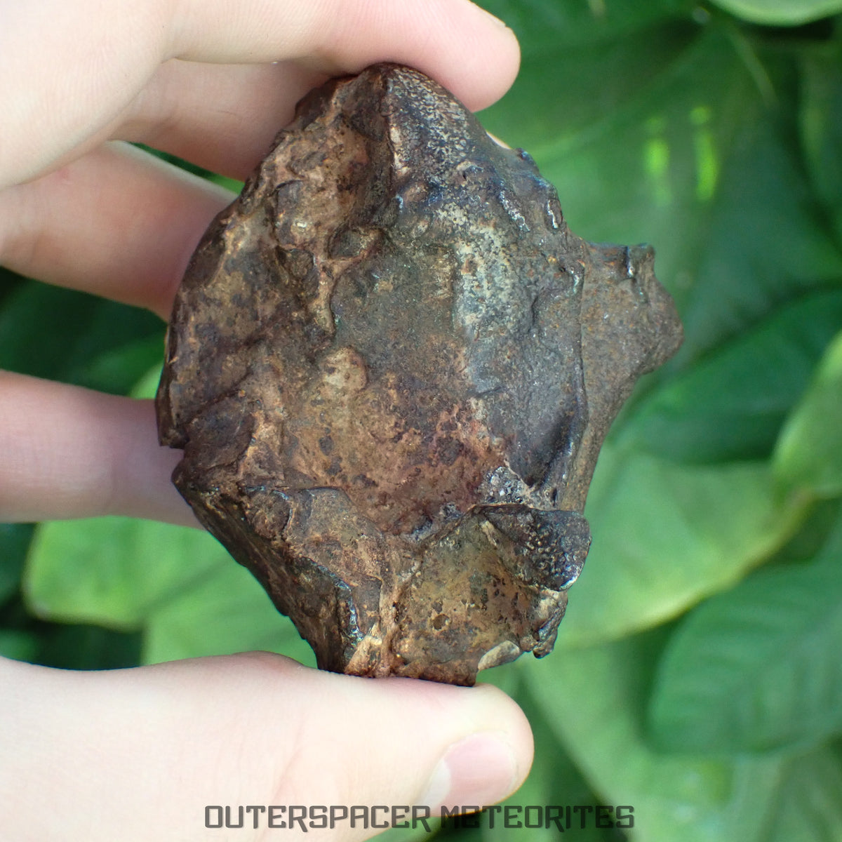 Gebel Kamil - Iron, Ungrouped (Ataxite) - Complete Individual - 346.98g - Egypt