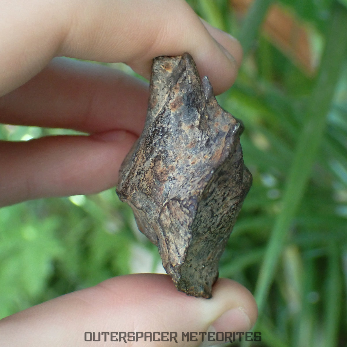 Gebel Kamil - Iron, Ungrouped (Ataxite) - Complete Individual - 175.97g - Egypt