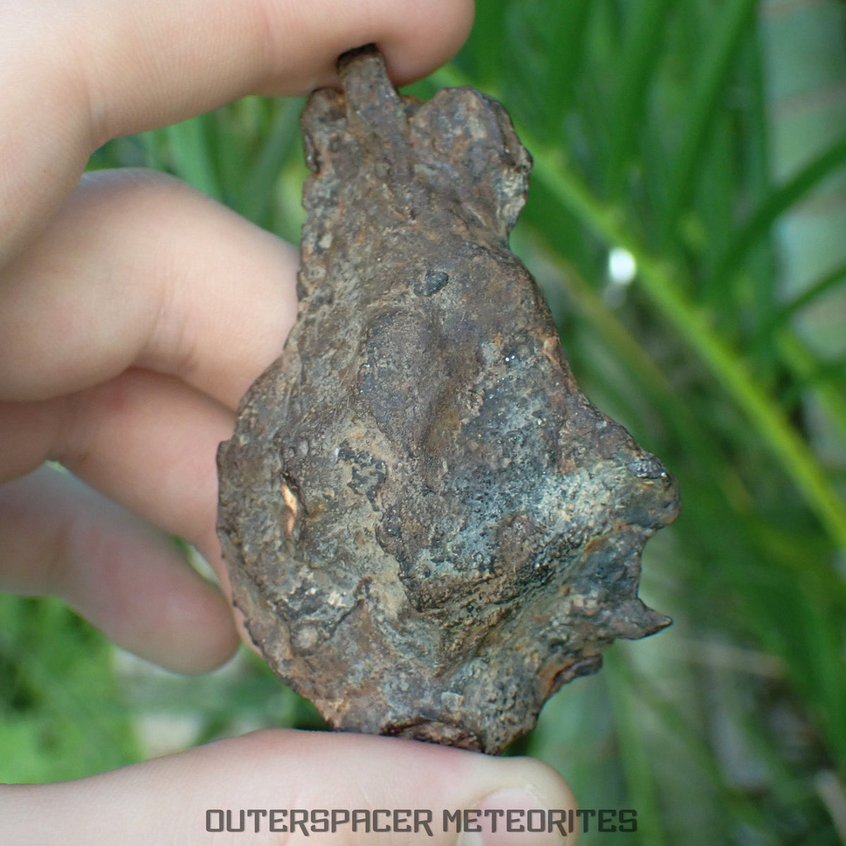 Gebel Kamil - Iron, Ungrouped (Ataxite) - Complete Individual - 175.97g - Egypt