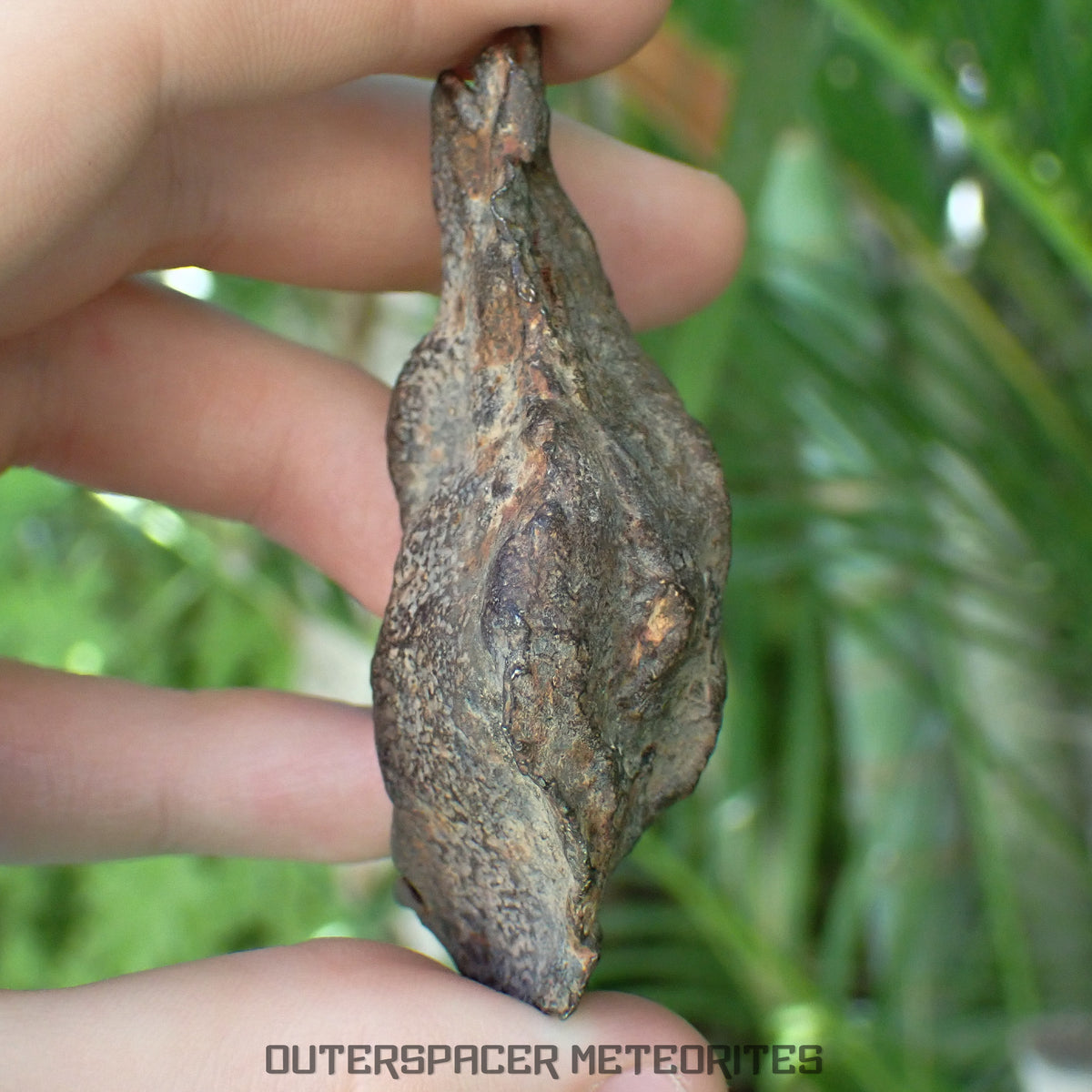 Gebel Kamil - Iron, Ungrouped (Ataxite) - Complete Individual - 175.97g - Egypt
