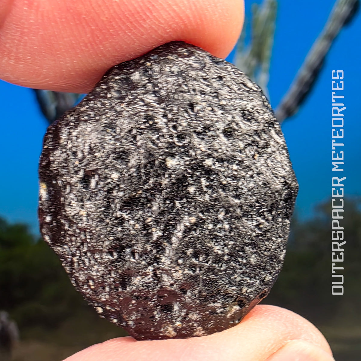 Geraisite - Tektite - Complete Individual - 16g - Brazil (Minas Gerias)