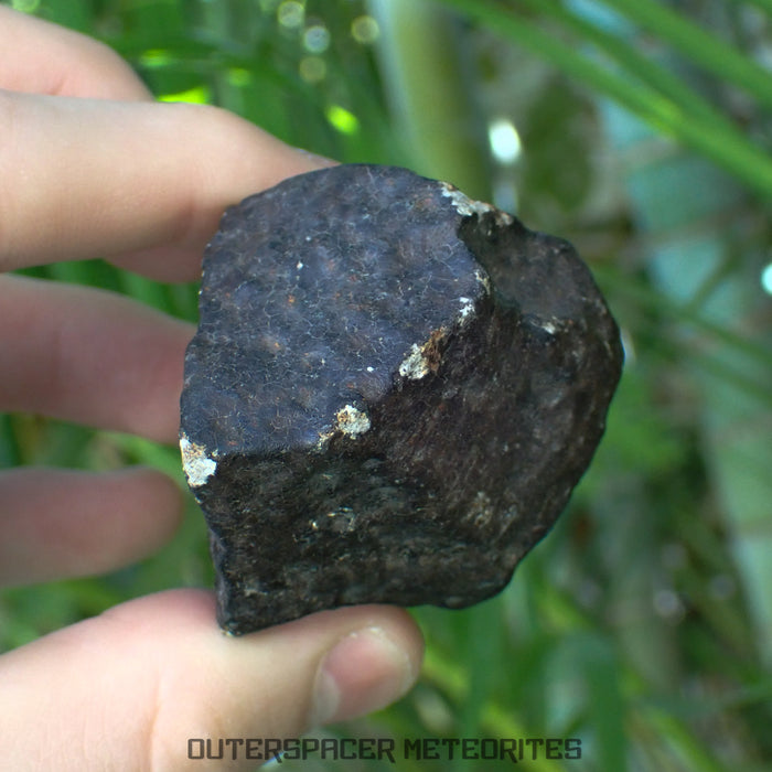 Hammadah al Hamra 346 (aka. Ghadamis) - L6 Ordinary Chondrite - Complete Individual -206.1g - Libya