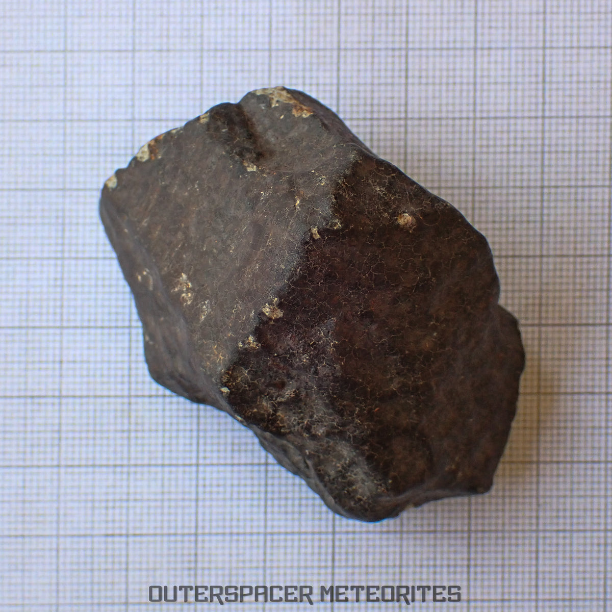 Hammadah al Hamra 346 (aka. Ghadamis) - L6 Ordinary Chondrite - Complete Individual -206.1g - Libya