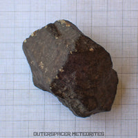 Hammadah al Hamra 346 (aka. Ghadamis) - L6 Ordinary Chondrite - Complete Individual -206.1g - Libya