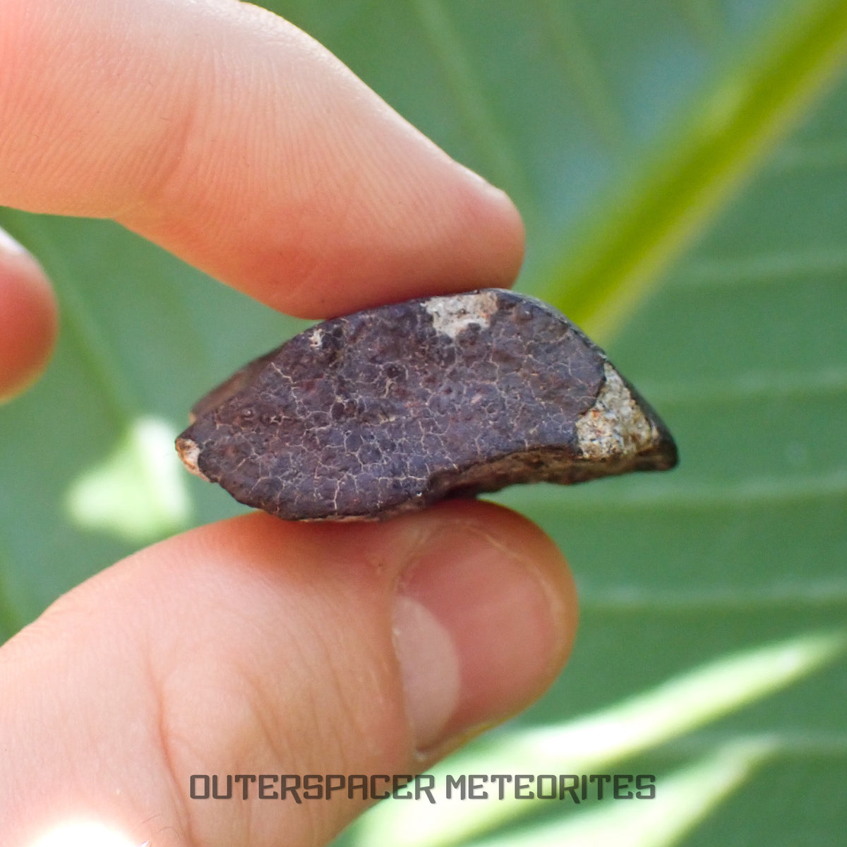 Hammadah al Hamra 346 (aka. Ghadamis) - L6 Ordinary Chondrite - Complete Individual - 20.15g - Libya