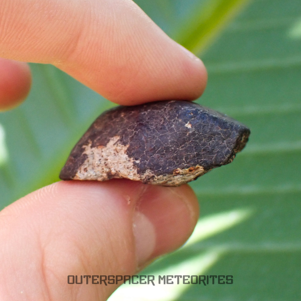Hammadah al Hamra 346 (aka. Ghadamis) - L6 Ordinary Chondrite - Complete Individual - 20.15g - Libya